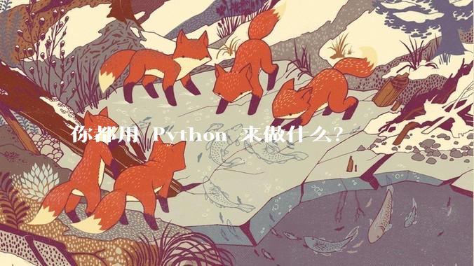 你都用 Python 来做什么？